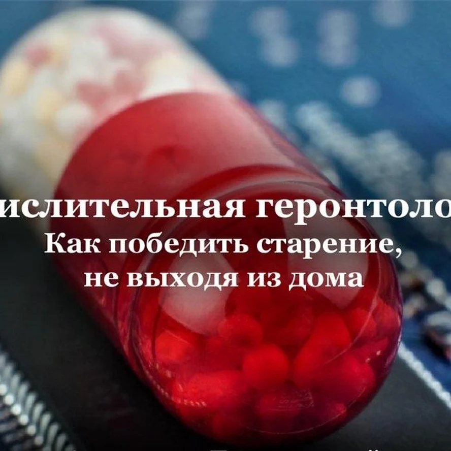 занятие с тренером программа фитнеса с учетом геронтологии