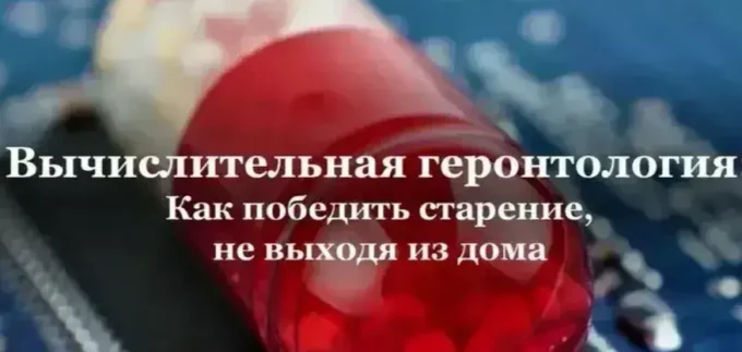 Подбор программы тренировок
и сопровождение